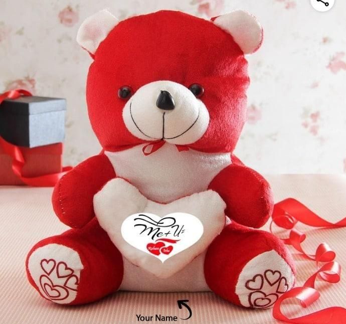 Love Quote Soft Teddy